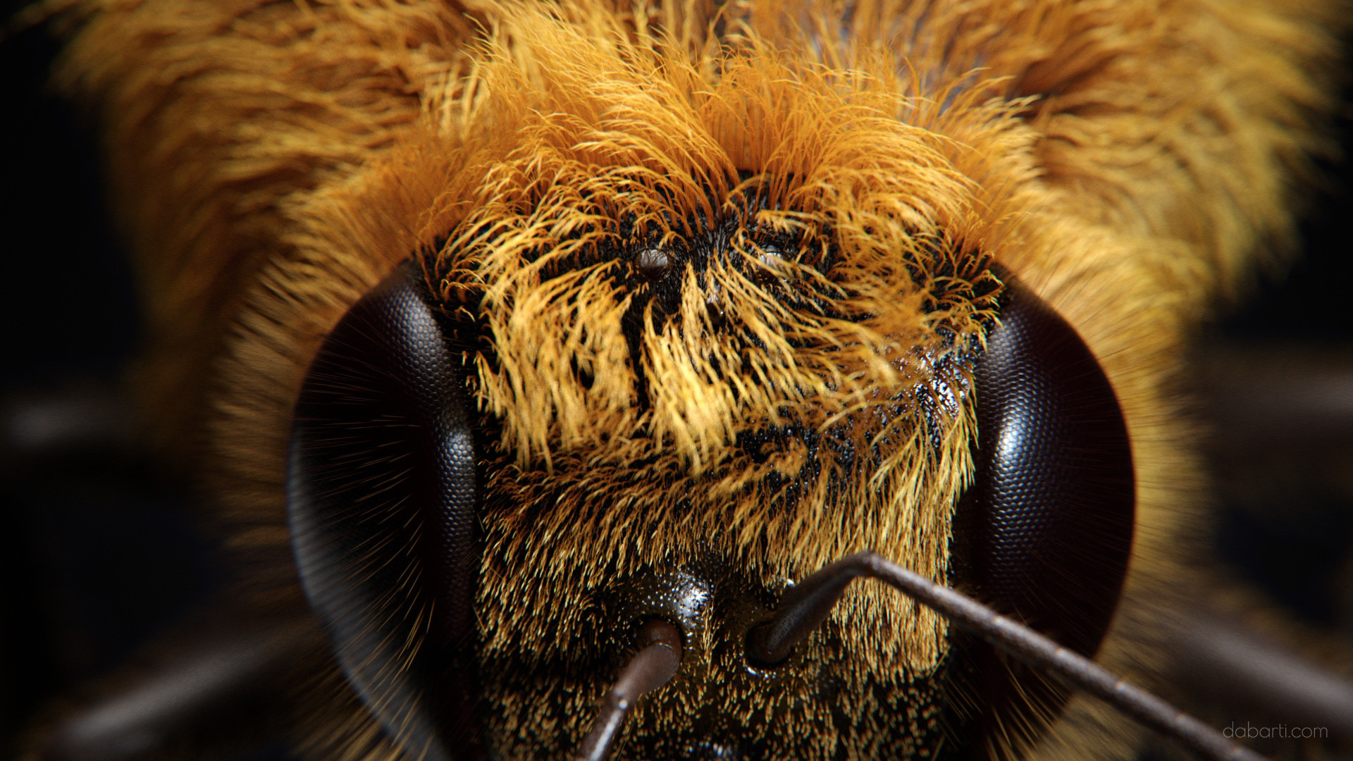 bee_watermarked