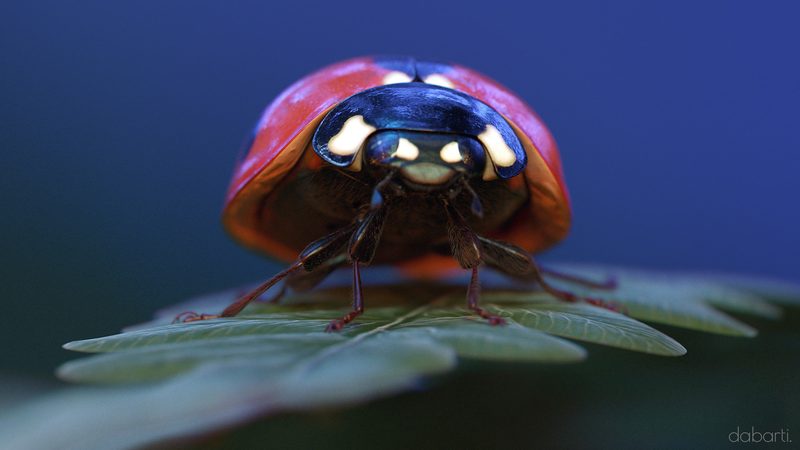 Bugs Theater CGI, par Dabarti