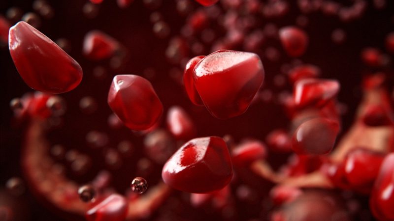 Sherwood Pomegranate TVC, par Dabarti