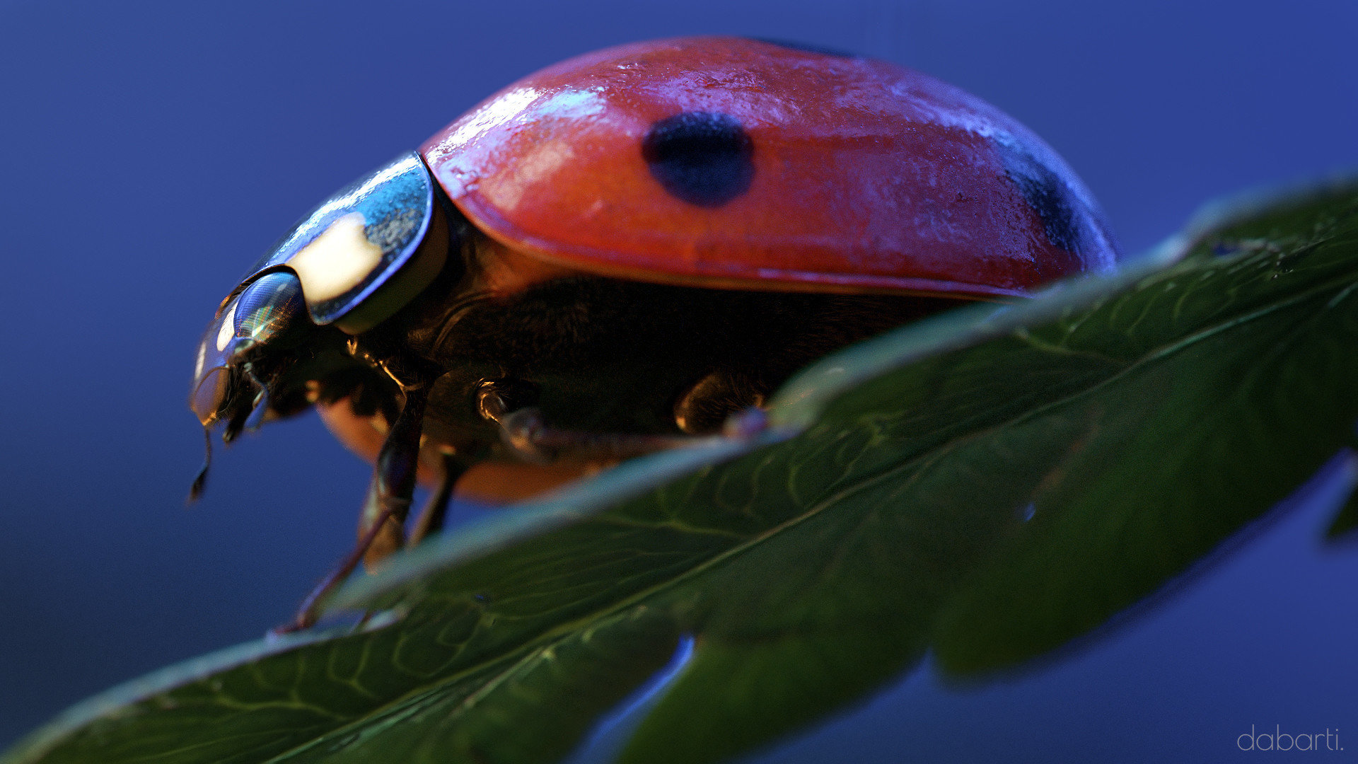 Bugs Theater CGI, project image 18