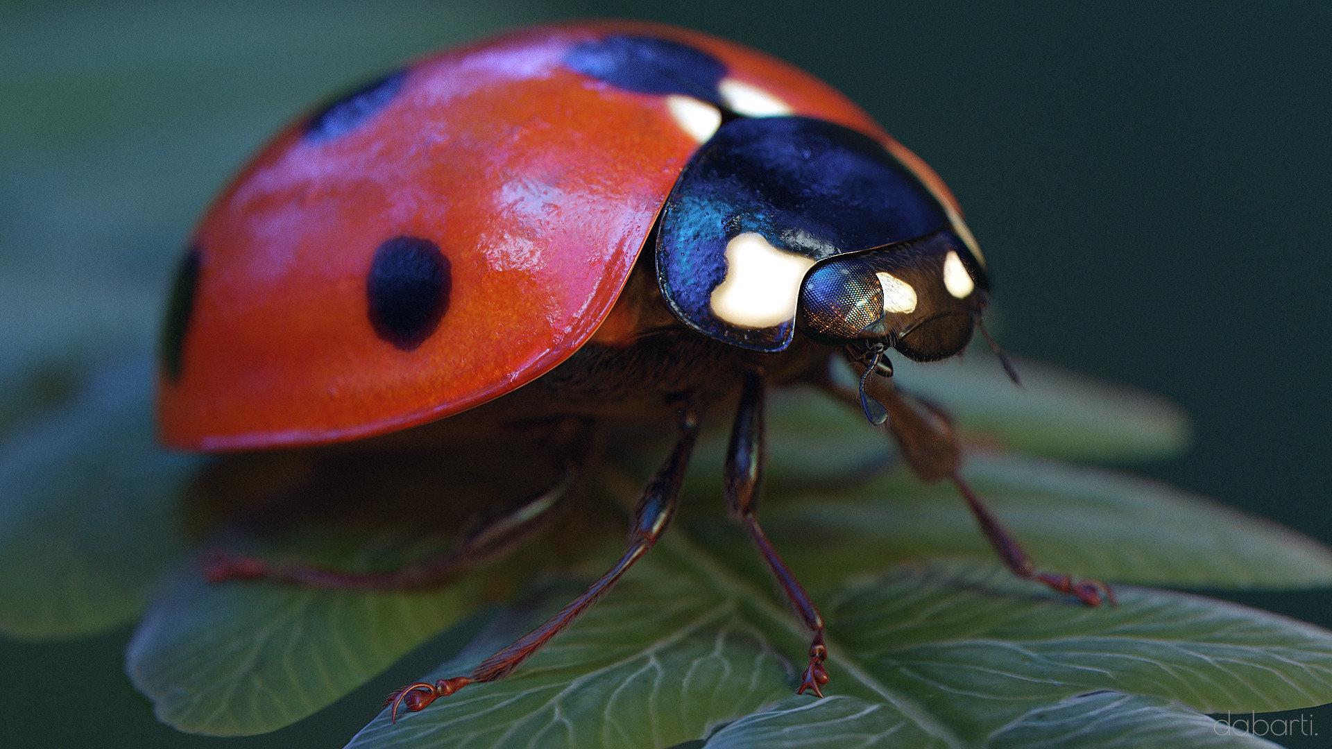 Bugs Theater CGI, project image 11