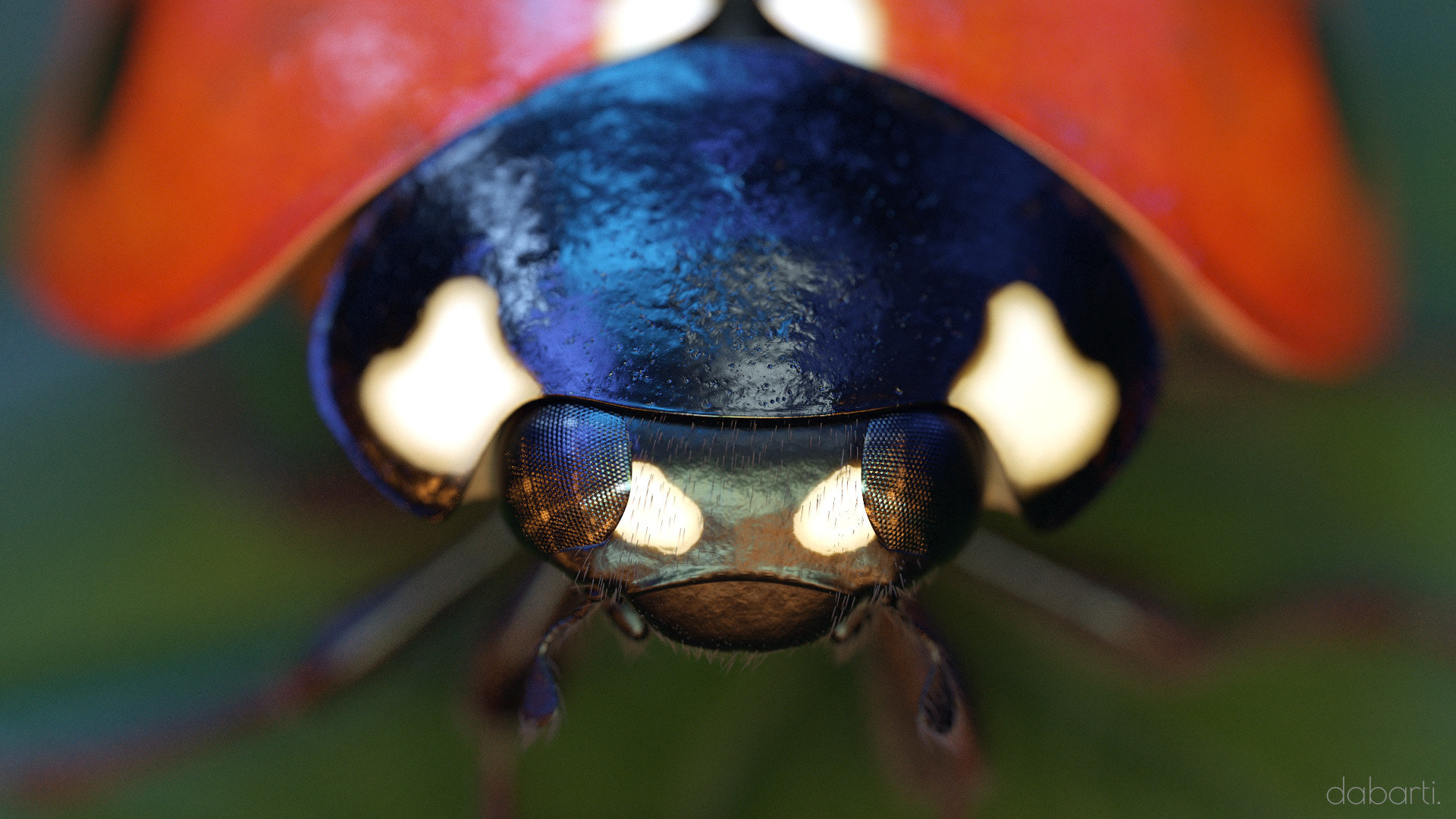 Bugs Theater CGI, project image 6