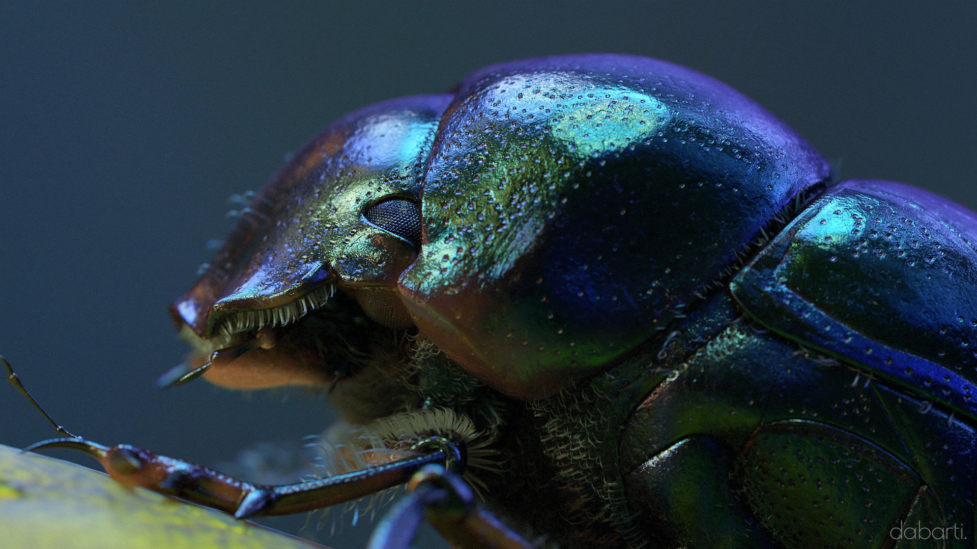 Bugs Theater CGI, project image 15