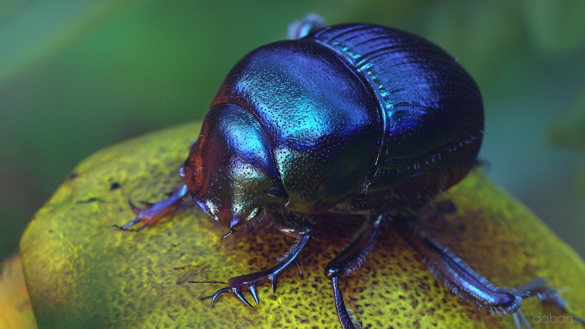 Bugs Theater CGI, project image 17