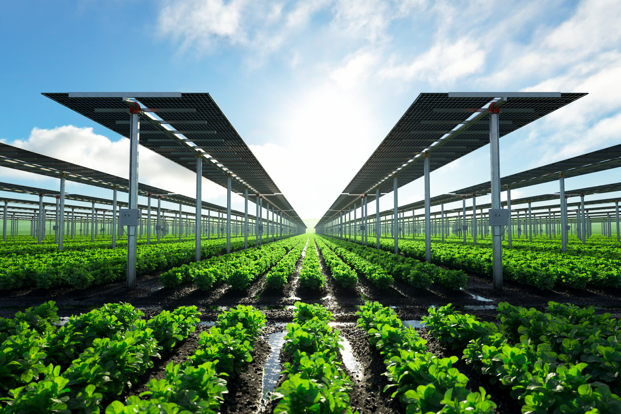 Photovoltaic: Visual Research & Motion, project image 3