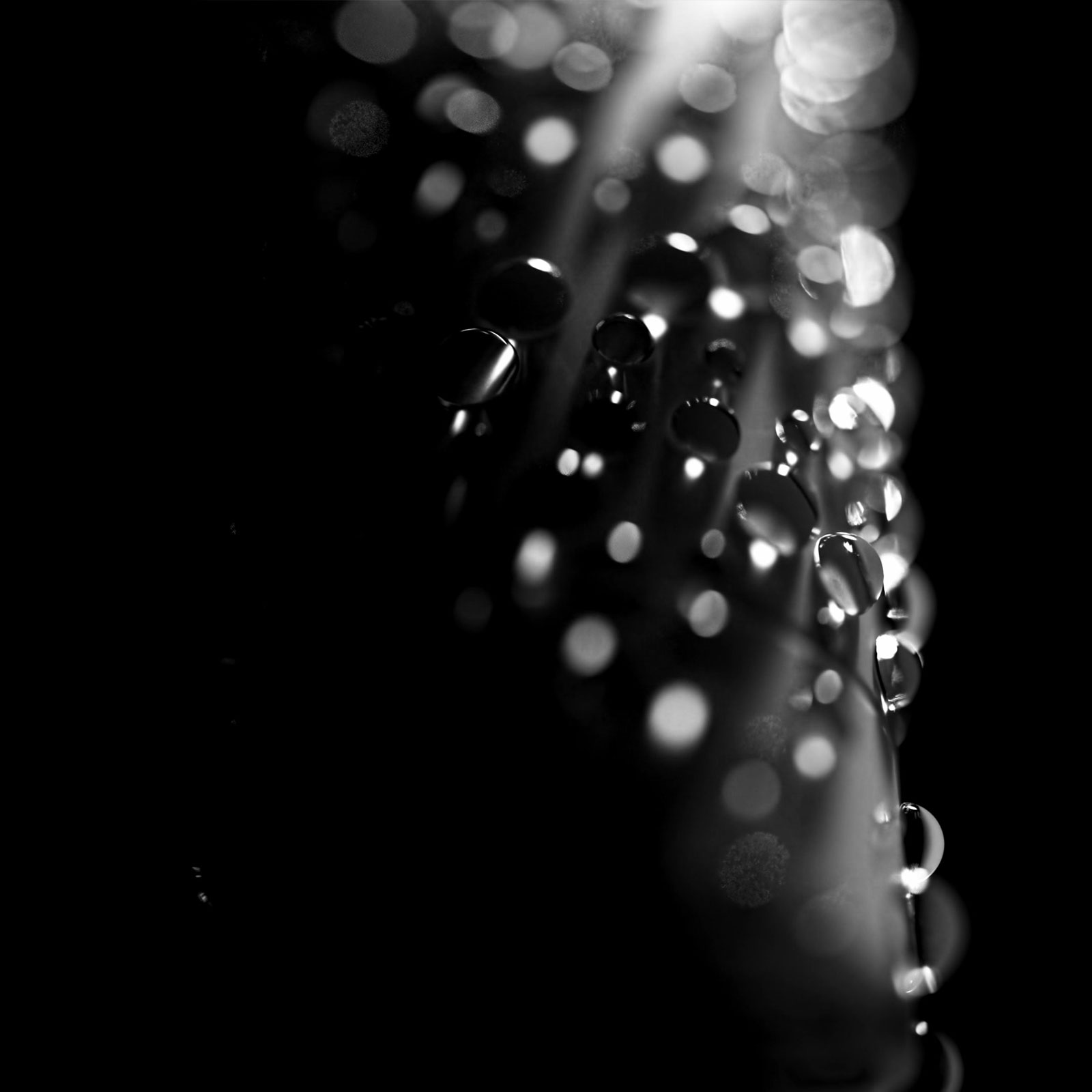 Warm caustic study with a translucent object